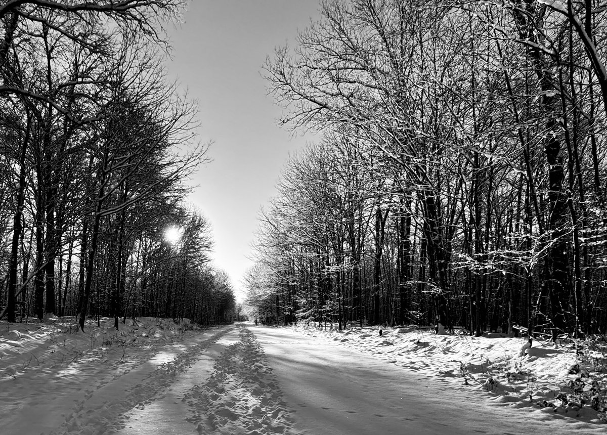 RoppityPhotos's tweet image. My #HappyPlace especially when I see #Erie and/or #Harry
#BarredOwls #Owls #Wildlife #WildlifePhotography #Nature #NaturePhotography #Snow #Landscape #LandscapePhotography