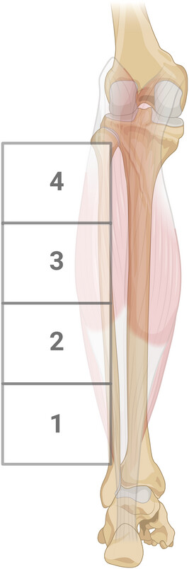 Brady Holmer tweet media