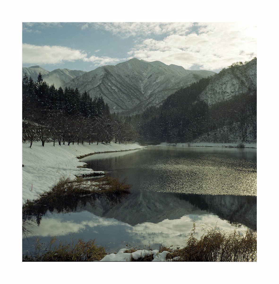 FORPRO_F's tweet image. Bronica S2
NIKKOR-P 75mm f2.8
Kodak GOLD 200