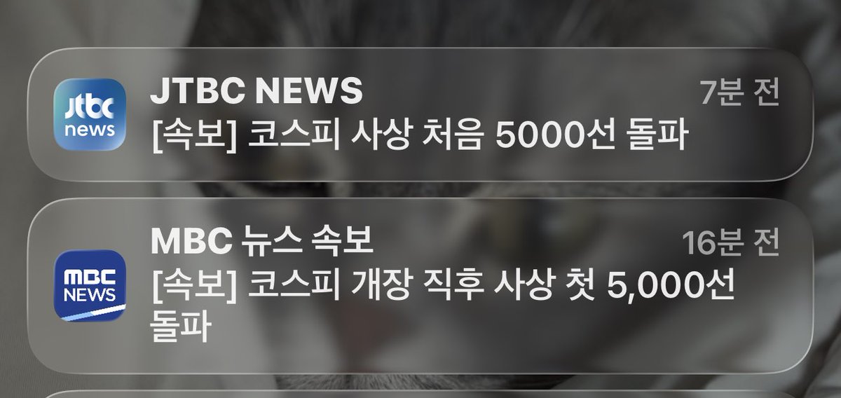 MinY •̀ᴗ•̀ tweet media