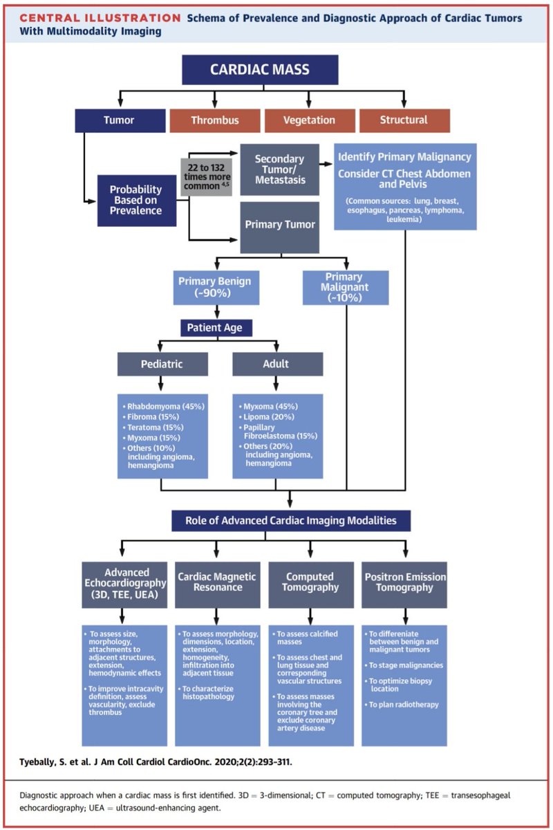 javier20ch's tweet photo. Abordaje diagnóstico de las masas cardíacas. 🧐🫀💣💥
🔷️Las masas cardíacas son un hallazgo poco frecuente, pero con alto impacto clínico. Su correcta identificación depende de integrar clínica + imagen. 👨‍⚕️🩺🔎
🔷️Ante una masa cardíaca,debemos pensar siempre en 4 grandes grupos:
1️⃣ Trombo.
2️⃣ Tumor primario (benigno o maligno).
3️⃣ Metástasis cardíaca.
4️⃣ Lesiones estructurales, pseudotumores (vegetaciones, quistes, excrescencias).
✔️ En muchos casos, se puede llegar al diagnóstico sin biopsia siguiendo un enfoque estructurado.
✔️ No toda masa es un tumor.
✔️ Las metástasis son más frecuentes (80%) que los tumores primarios (20%).
✔️ La imagen multimodal guía decisiones y pronóstico.
✔️ Un enfoque sistemático evita errores diagnósticos.

📄🆓️⤵️ State-Of-The-Art Review @JACCJournals
https://t.co/57BNdKsUPP
https://t.co/Ix8qh62yRG