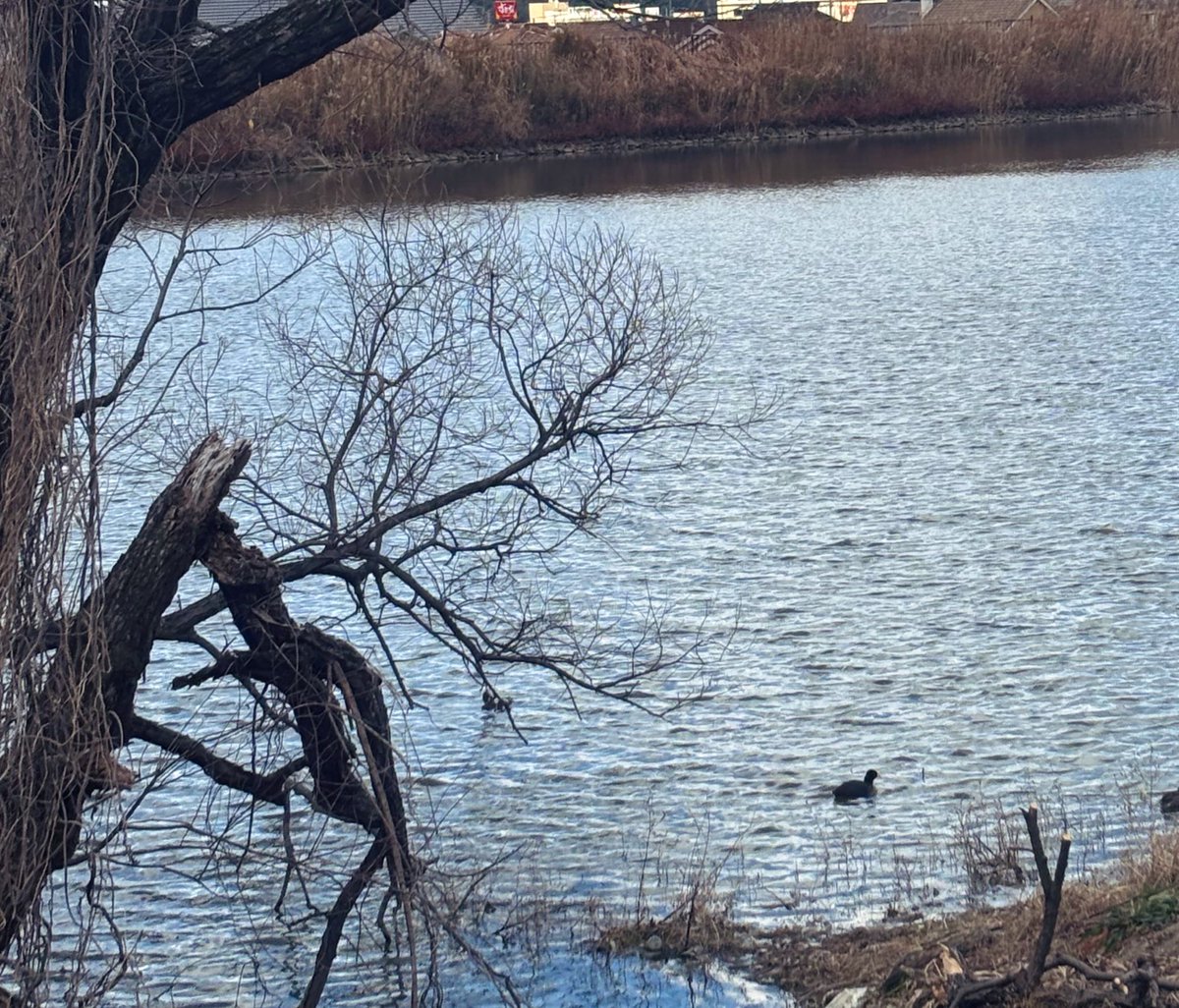 今日も寒いのに
ご苦労さま

寒くない？