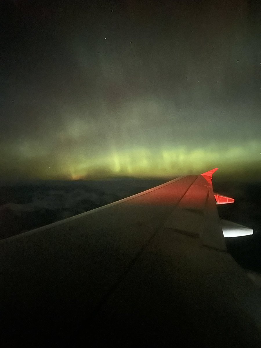 Rachel Herzog tweet media