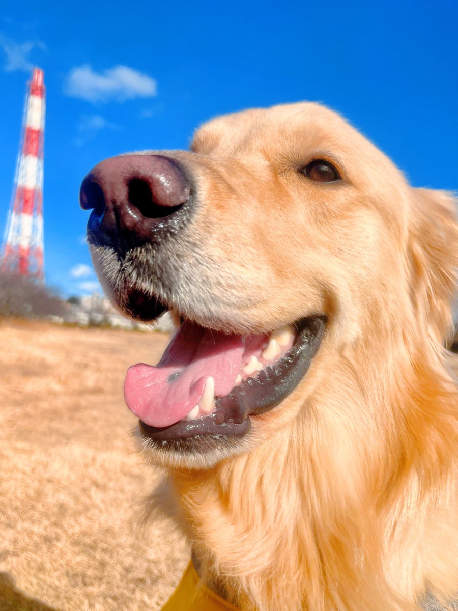 空は青々☀️
鼻はテカテカ～✨