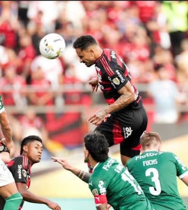 Pereira🌹 tweet media