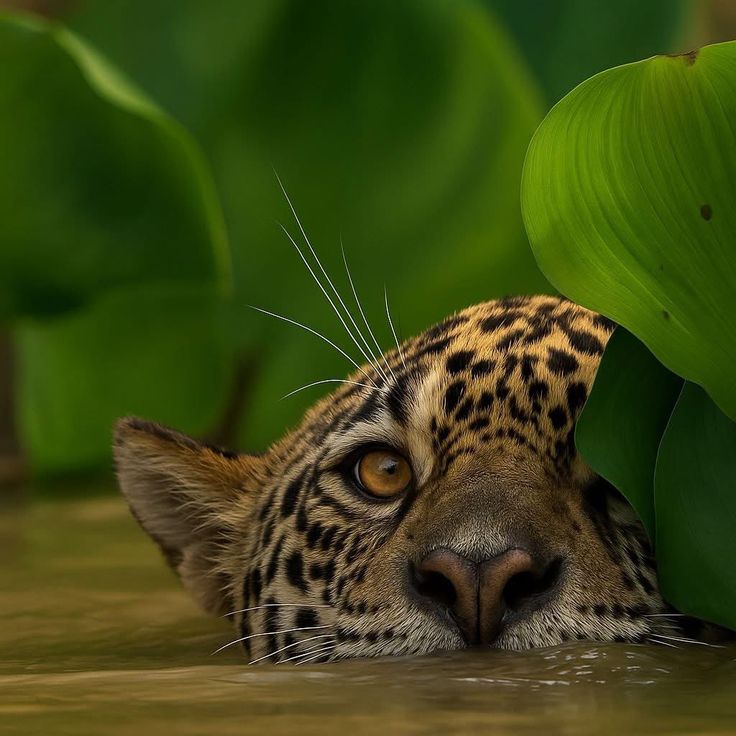 vivaneil (@vivaneil1234) on Twitter photo 