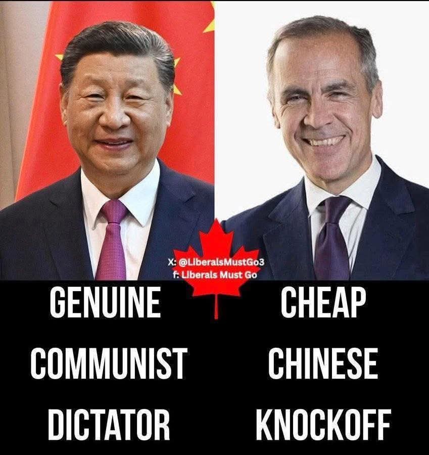 LewickiPatrick's tweet photo. https://t.co/53rbYJLzcC