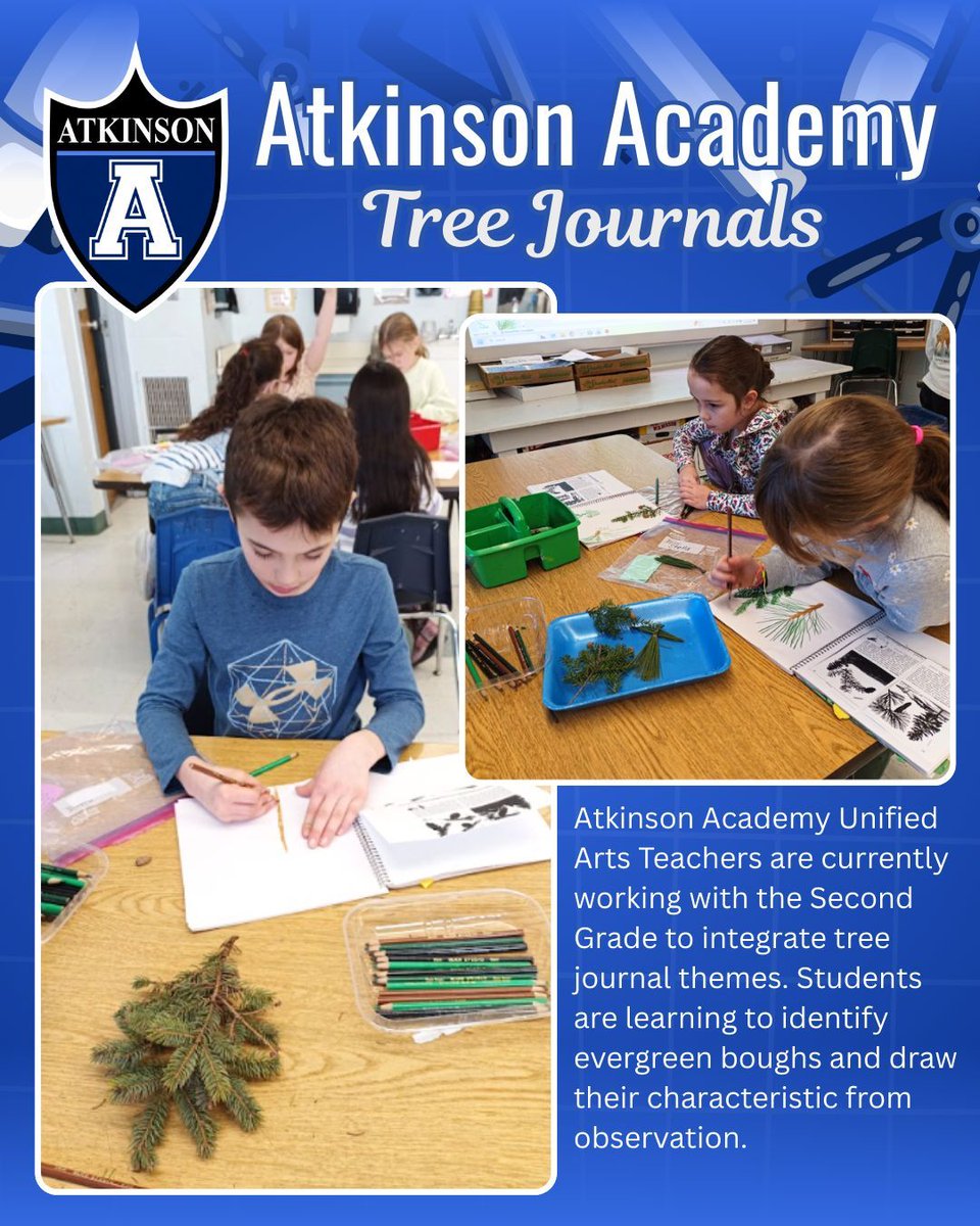 Atkinson Academy Unified Arts Teachers are currently working with the Second Grade to integrate tree journal themes. Students are learning to identify evergreen boughs and draw their characteristic from observation.