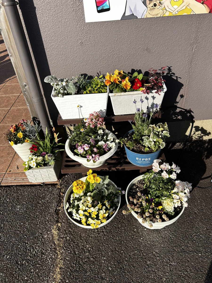 kaitorinobeoka's tweet photo. おはようございます😊
#買取のべおか 財光寺ショッピングセンター日向店です。
#日向市 今朝は冷え込みました🥶予想最高気温は6℃🌡寒い一日となりそう🥶
本日13:25~ #mrt #scoopy 出演🎤今回は日向店より🙌よろしくお願いいたします🤗#企業公式冬のフォロー祭り #企業公式相互フォロー https://t.co/N0h6I4A08x