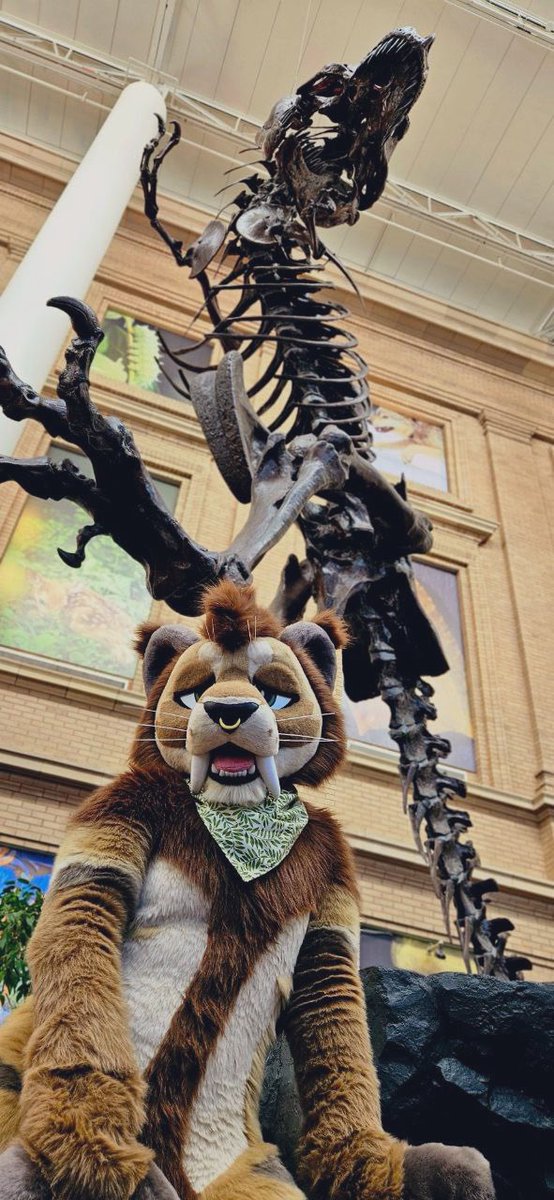 𝕽𝖔𝖜𝖆𝖓 𓃠 tweet media