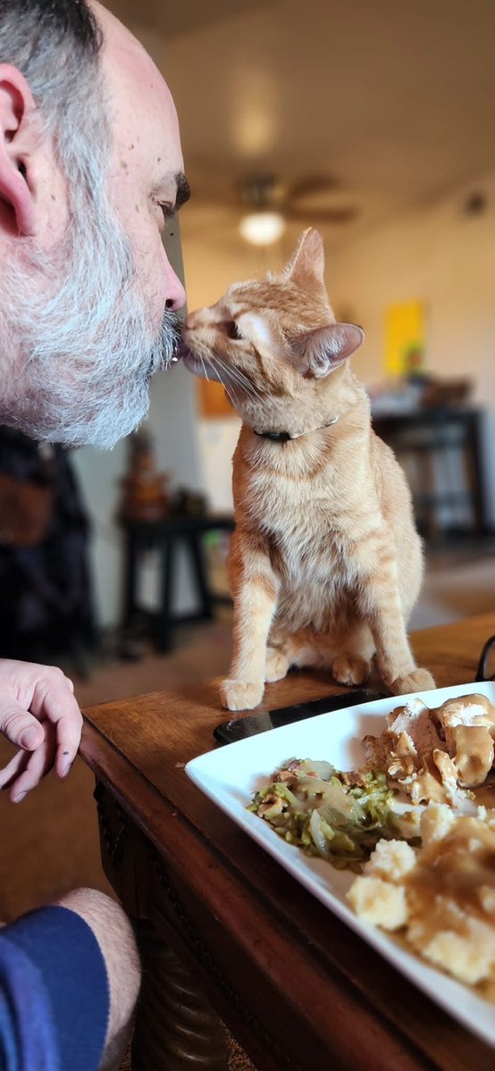 Model9Live's tweet image. Here is a picture of my powerful son, Randy Mewman… 

Help Randy and my ex-girlfriend, Kimber Jones, move to a blue state! She’s great! He’s a monster! 

Donate if you can! Share if you can’t! 

You guys are the best! 

gofundme.com/f/help-kimber-…