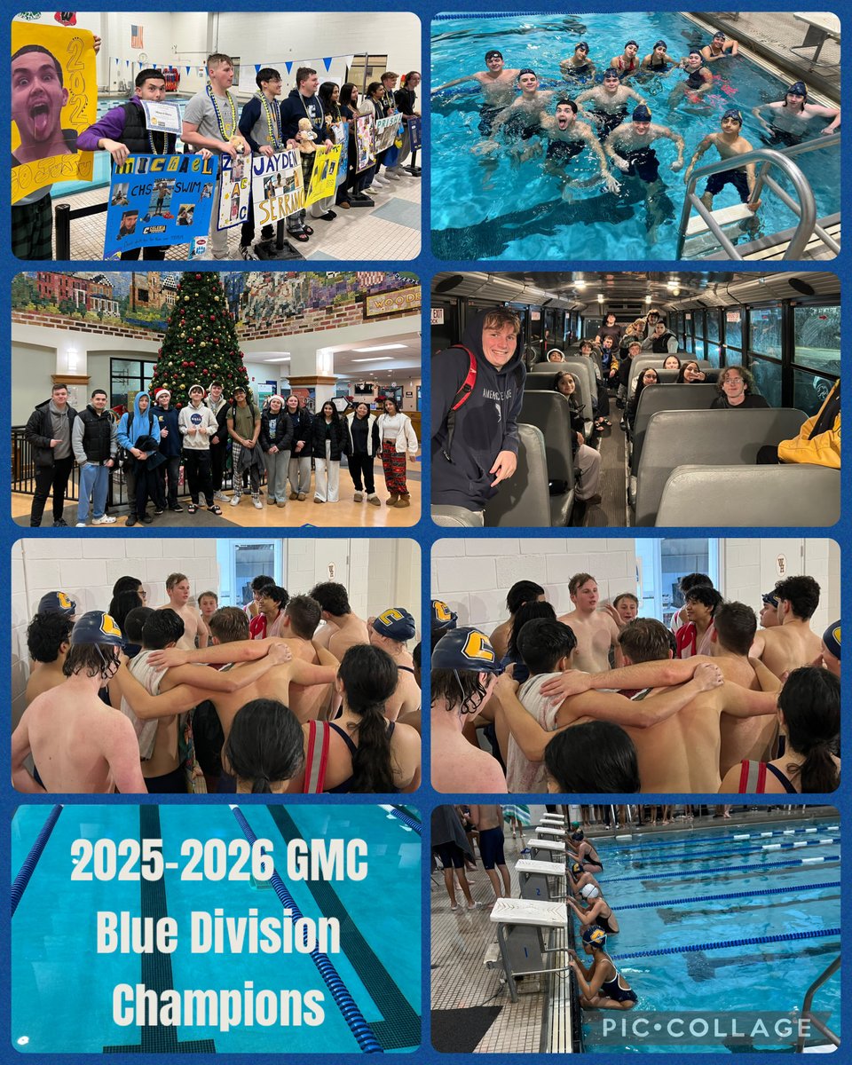 Colonia Swimming tweet media