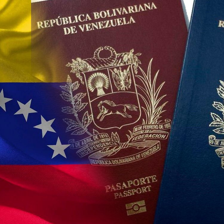 Qriswell tweet media