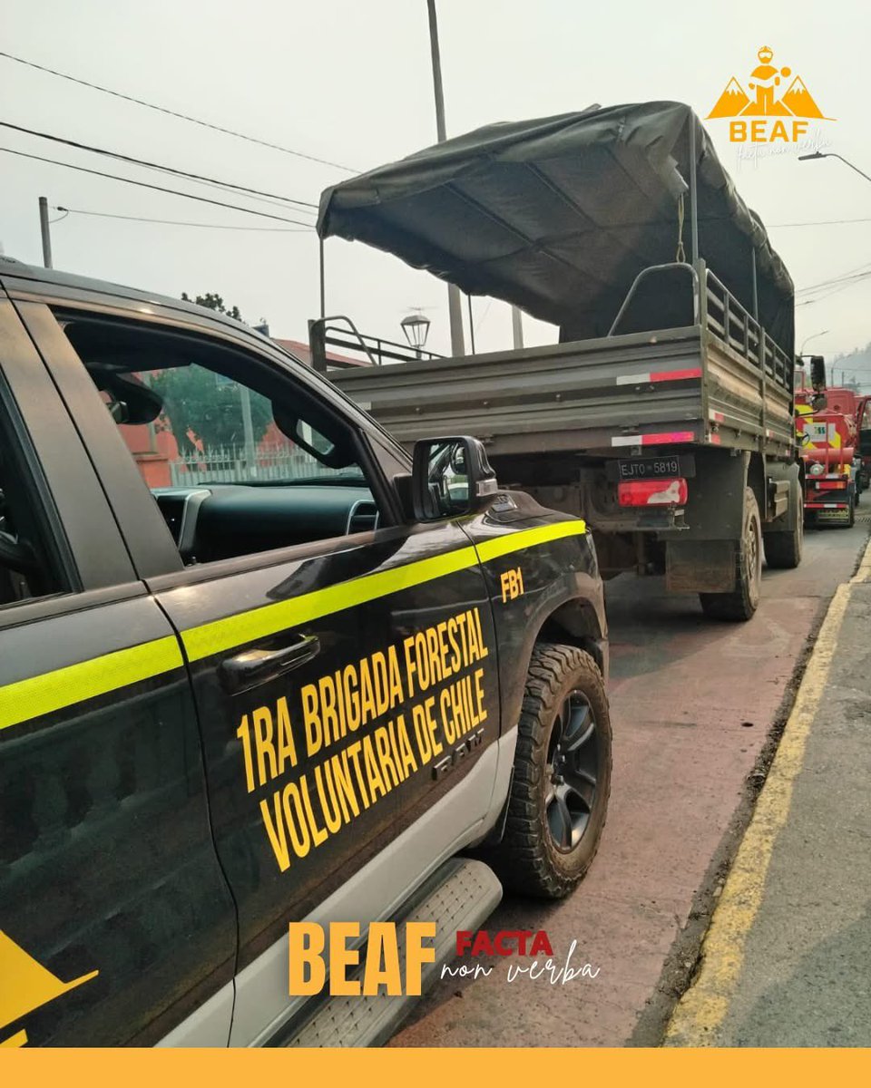 1ª Brigada Forestal Voluntaria de Chile tweet media