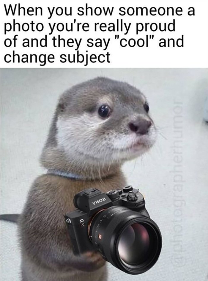 Neilfan12's tweet image. 📸😒 #Photographer #Proud: not #Sharing again 😒📸