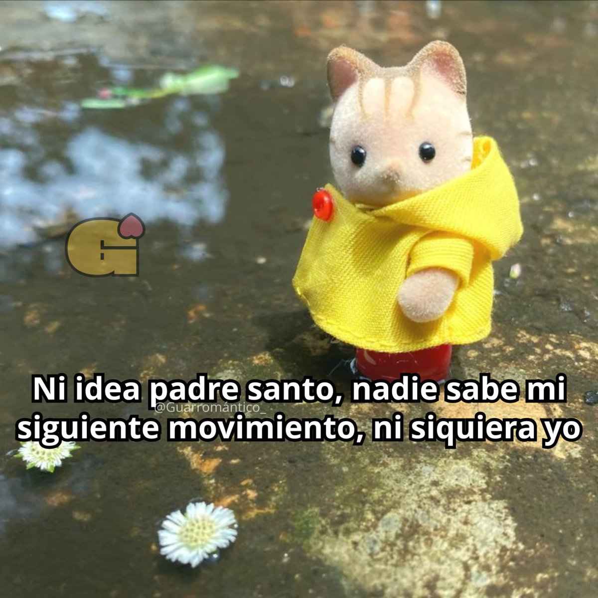 Guarromantico_'s tweet image. No idea.