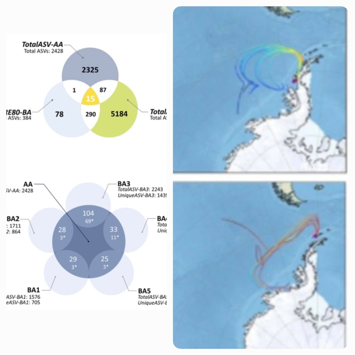 microairpolar tweet media