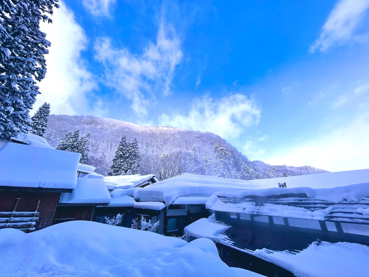 温泉の温度調整に欠かすことのできない
裏山の沢水が止まってしまいました。
昨夜から今朝にかけての何時ぞやに
表層雪崩が起きたのでしょう。
休館日明け早々試練再び。

それにしても美しい青空です。
凍てつくような空気ですが、
不安も悩みも好き通りそうです。
今日も元気を出して頑張ろう✨