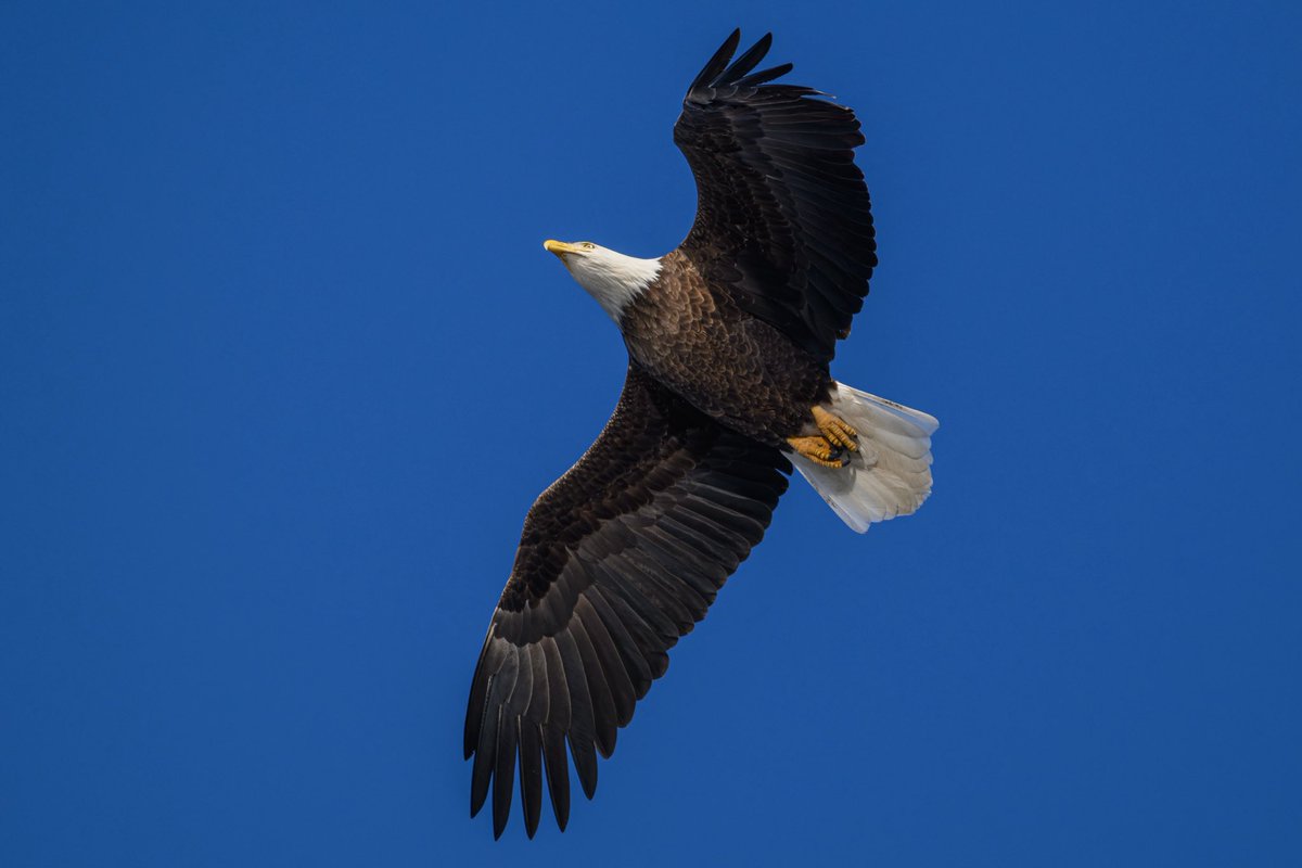 Jon Thaler tweet media