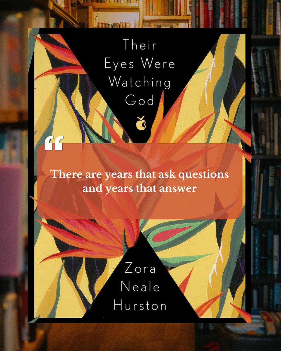 Some years teach you how to ask.
Others finally let you understand.

📖 From the shelves at Infinity Books Japan — Their Eyes Were Watching God by Zora Neale Hurston