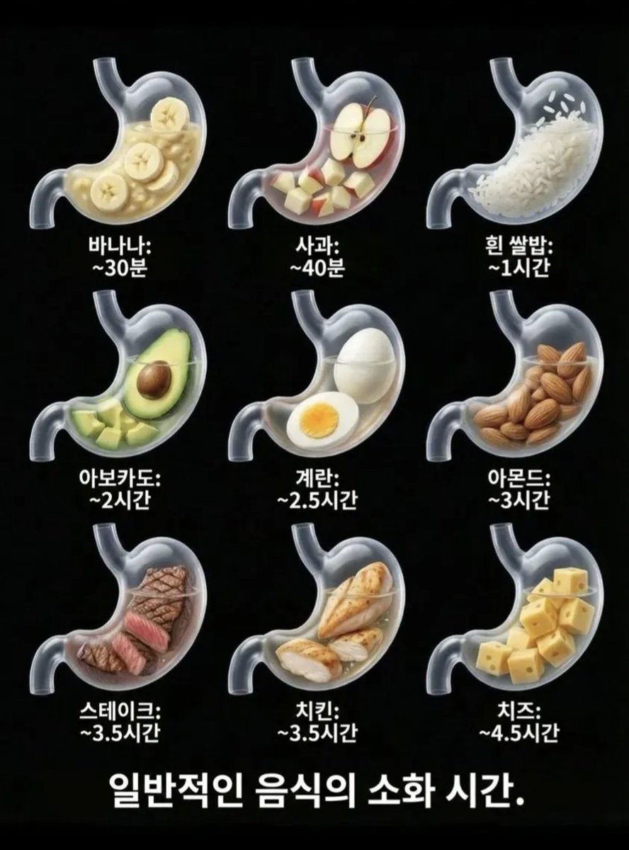 tokttokhada's tweet image. 일반적인 음식 소화 시간