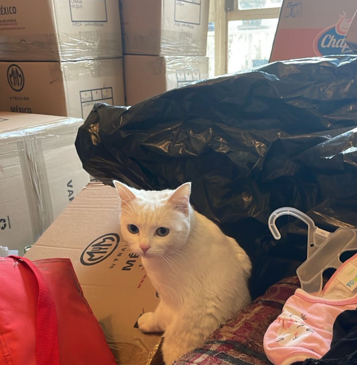 Maja Wallengren tweet media