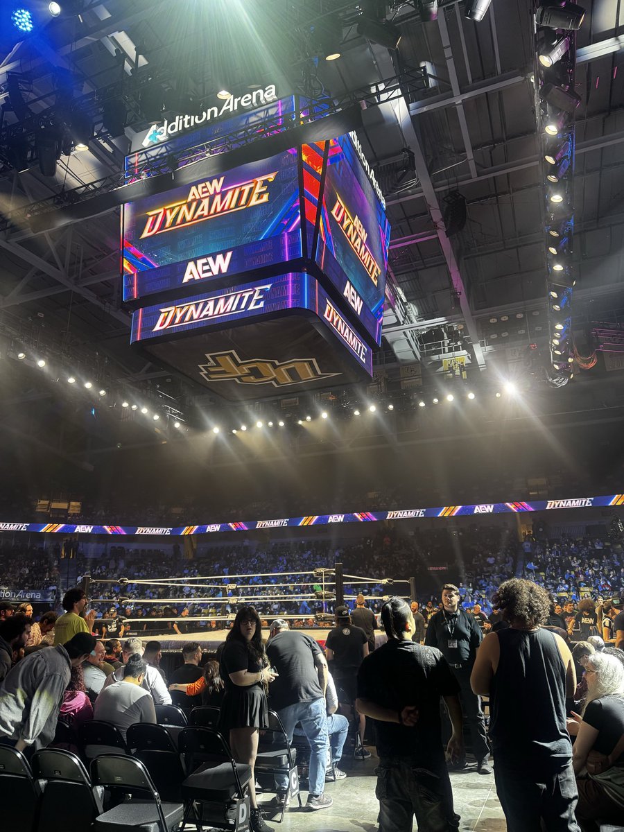 the big cat™️ tweet media