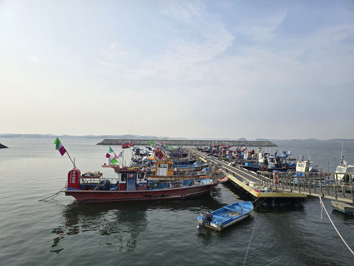 숭어와 쭈꾸미.