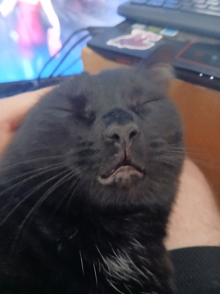 Cheesecake🧀🍰🐈‍⬛ 🇵🇸🍉 ❤️s Oreo 🌈 tweet media