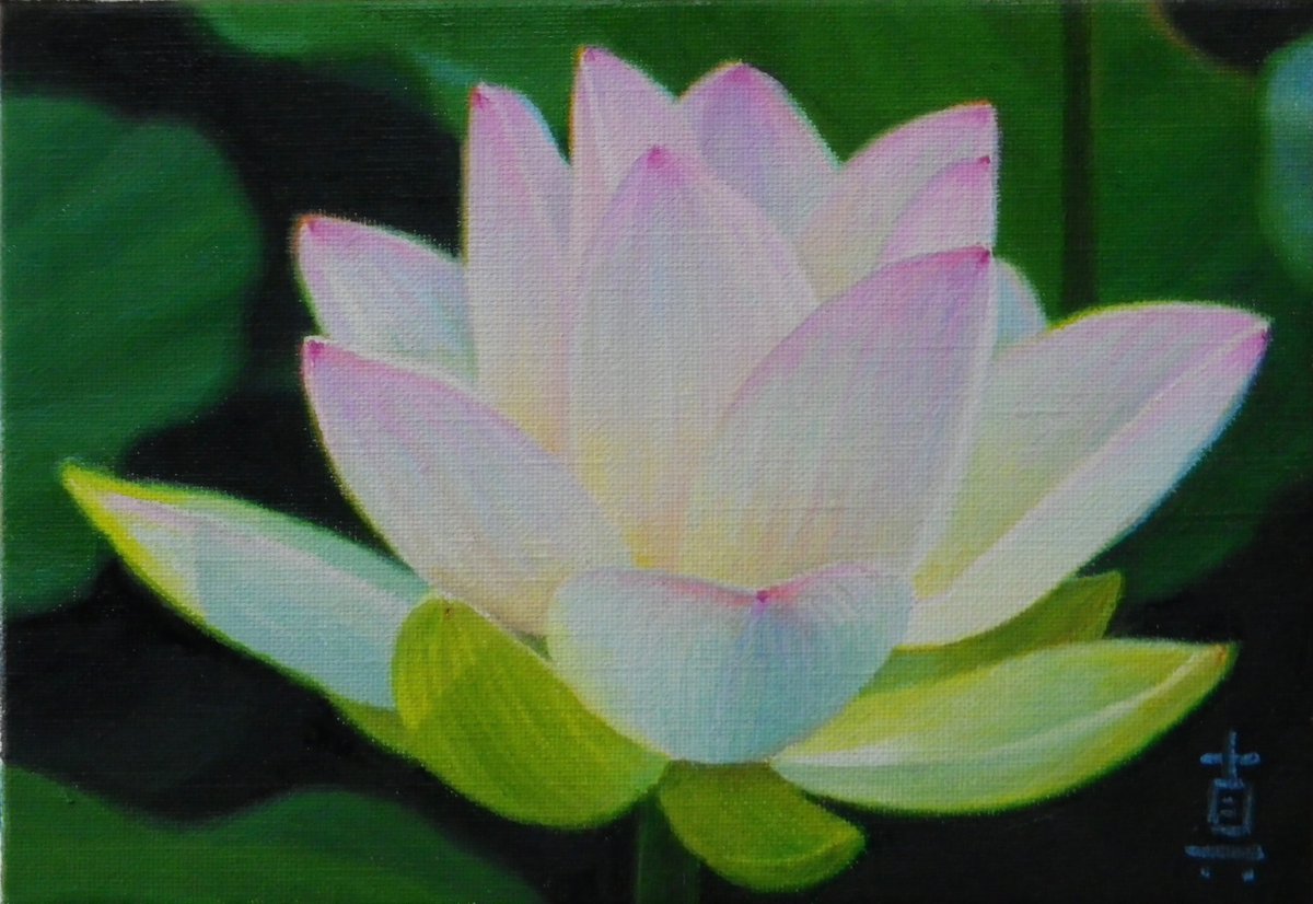 新作完成TSURUMI . Oil on canvas #lotus #lotusflower #oilpainting