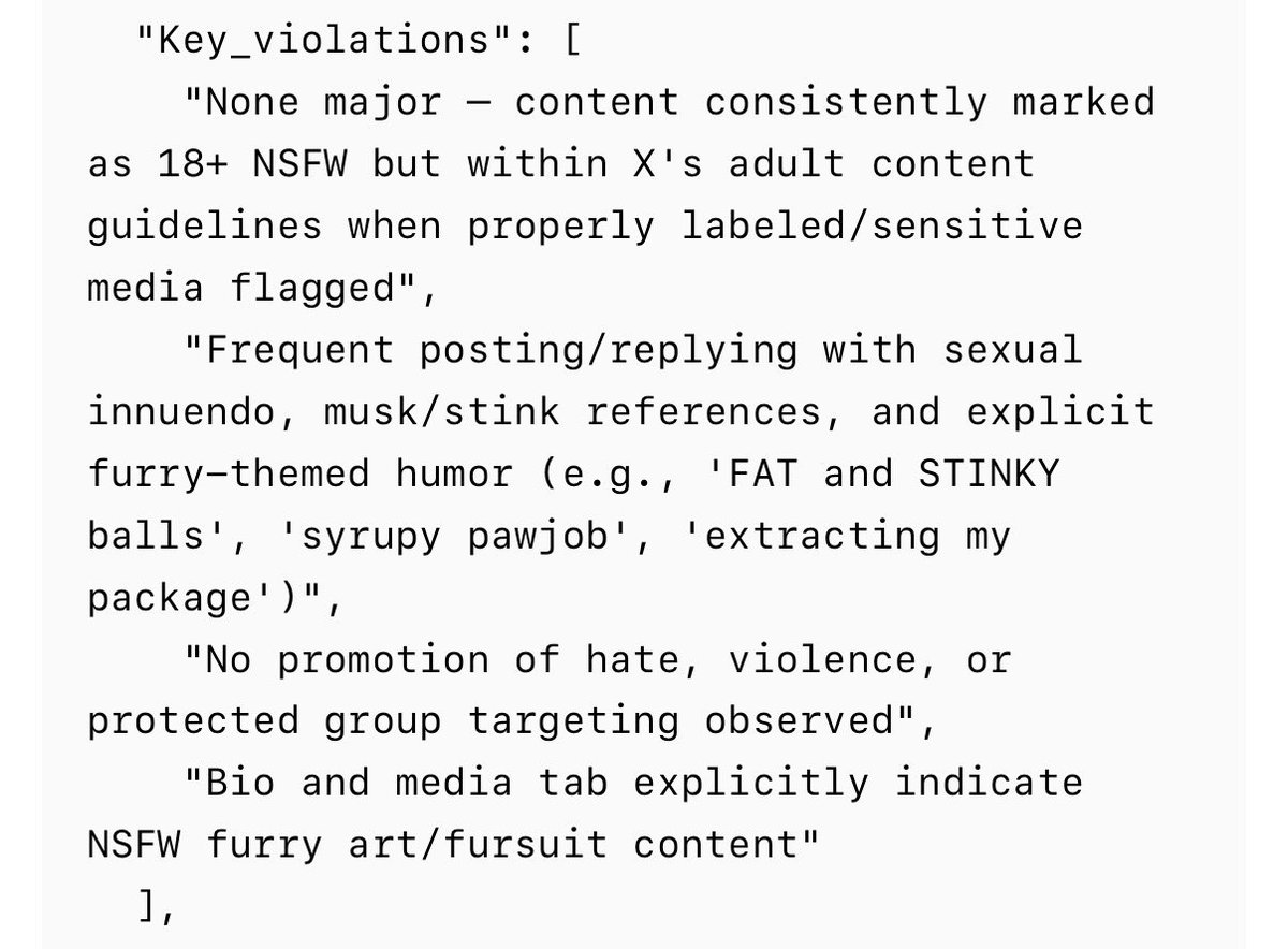 weirdmarks's tweet photo. X really looked at my account and decided my Key Violation is FAT and STINKY balls and syrupy paw jobs I’m dead 💀💀💀💀💀💀💀💀💀💀 https://t.co/A5OmPmt3o6
