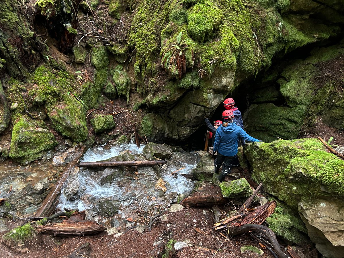 Sheila Hansen tweet media