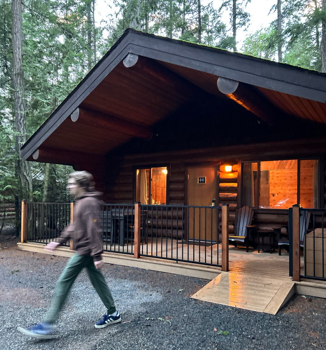 Sheila Hansen tweet media