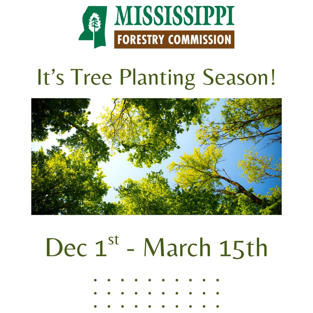 Russell Bozeman tweet media