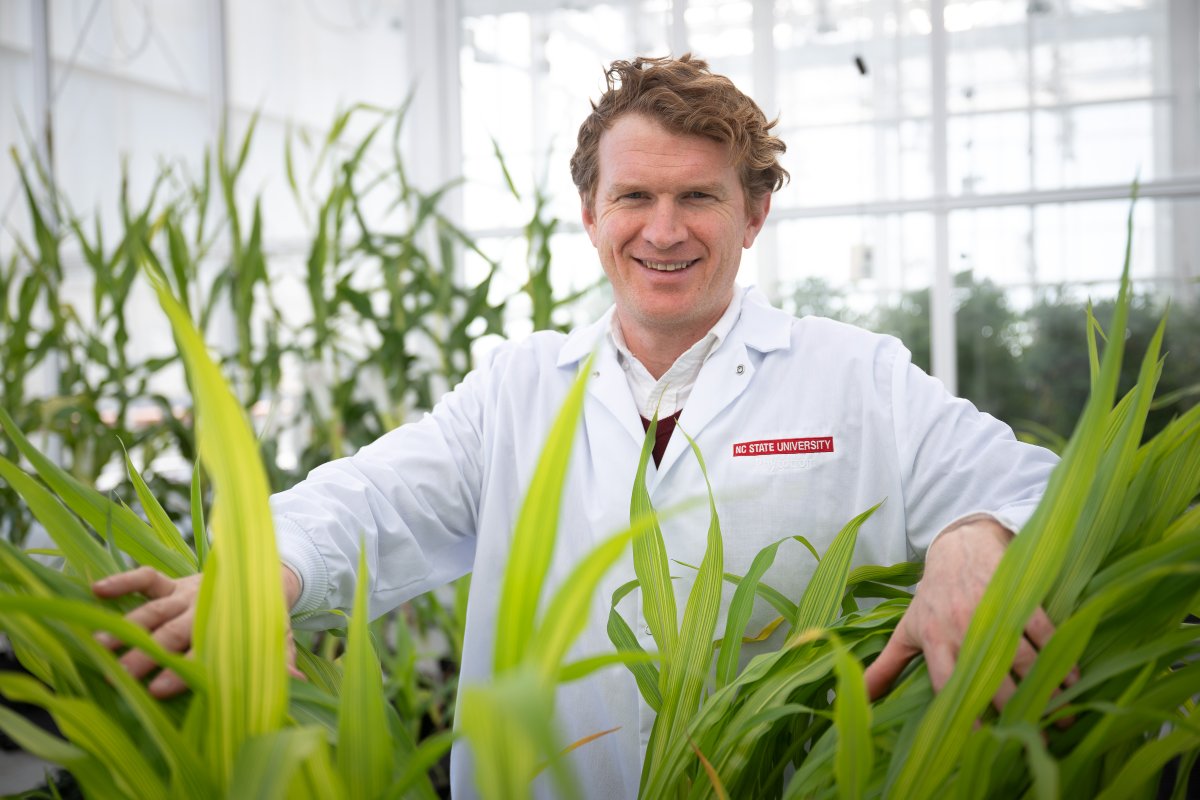 NC State College of Agriculture and Life Sciences tweet media