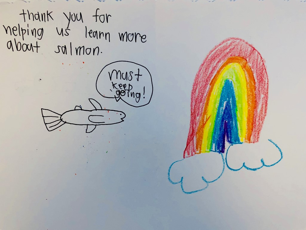 FISH Wrap - Thank you! December 2025 - mailchi.mp/1b7d359cb264/f…