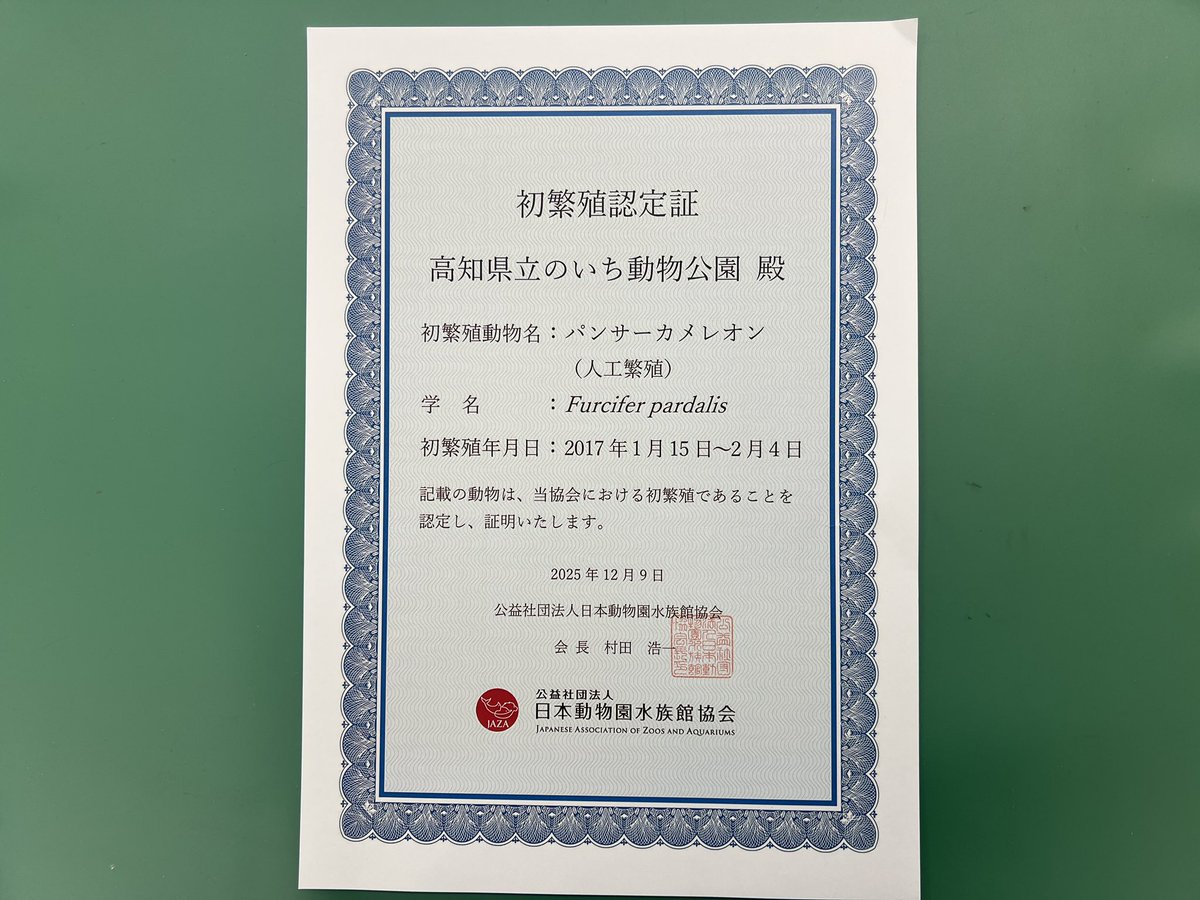 パンサーカメレオンの人工繁殖について、JAZA（公益財団法人日本動物園