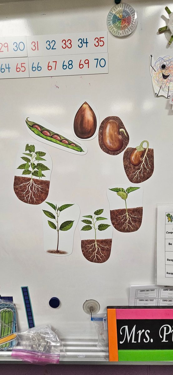 pqcentral's tweet photo. We've had a busy last three weeks with testing, learning about beans, addition, subtraction, New Year's resolutions, kindness, PBIS rules, MLK, Sallie update, National Bean Day, snowmen, penguins, frogs, fish, birthday party, show/tell, and much more!❄️💙🐢💛🫛
#agintheclassroom https://t.co/cZvWb6VwXP