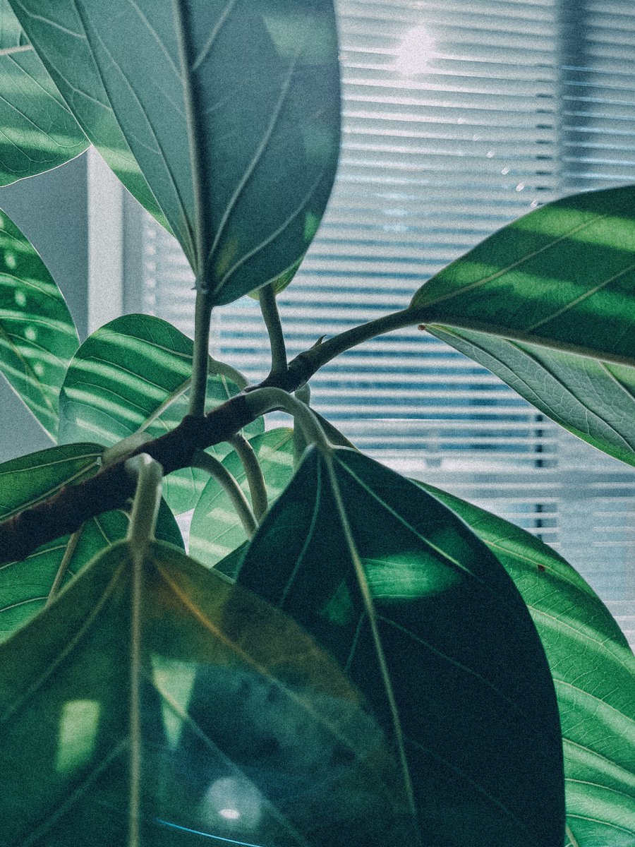 やっと冬らしくなってきた感じ。
今日も頑張ってきましょう。