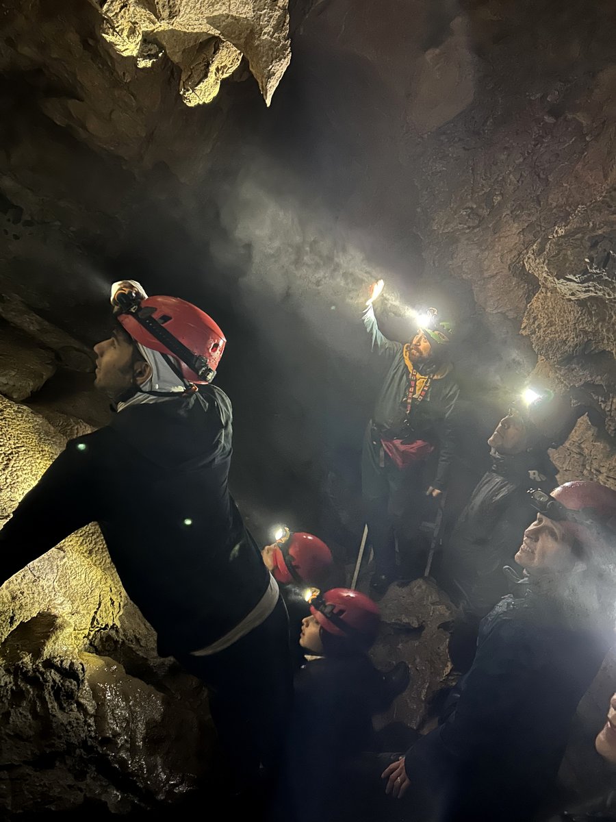 Sheila Hansen tweet media