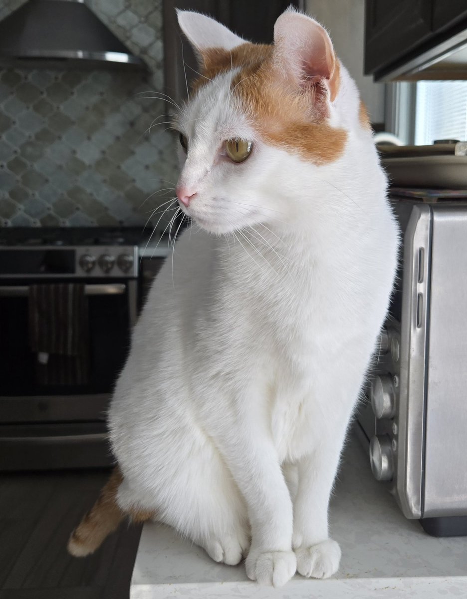 Busy Boy Floyd tweet media