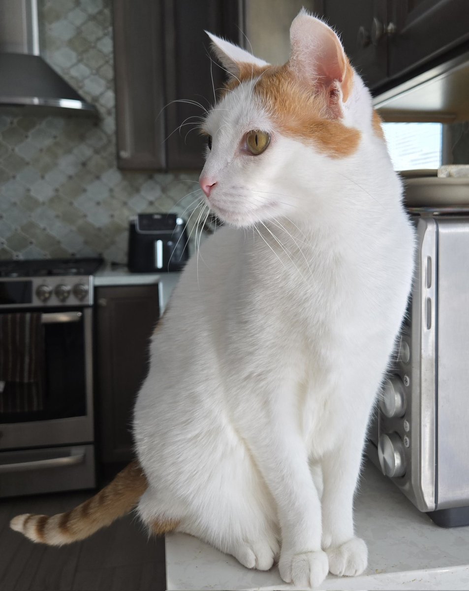 Busy Boy Floyd tweet media