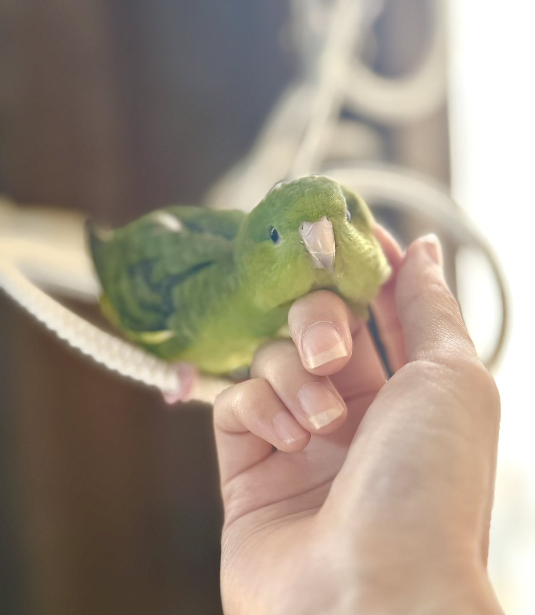 ごきげんふくふくほっぺ