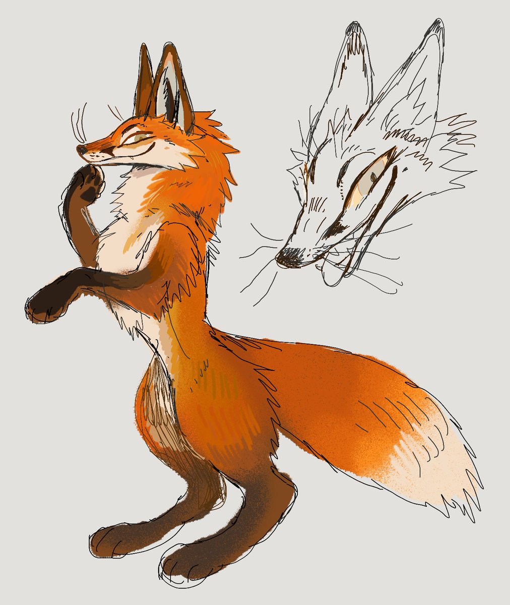 ✹𓃥✎ tweet media