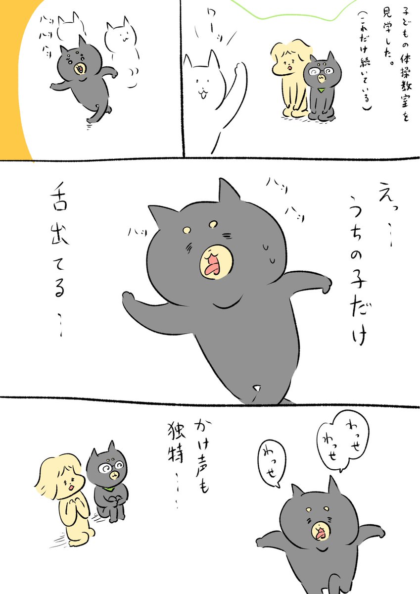 子どもの体操教室を見に行きました。 