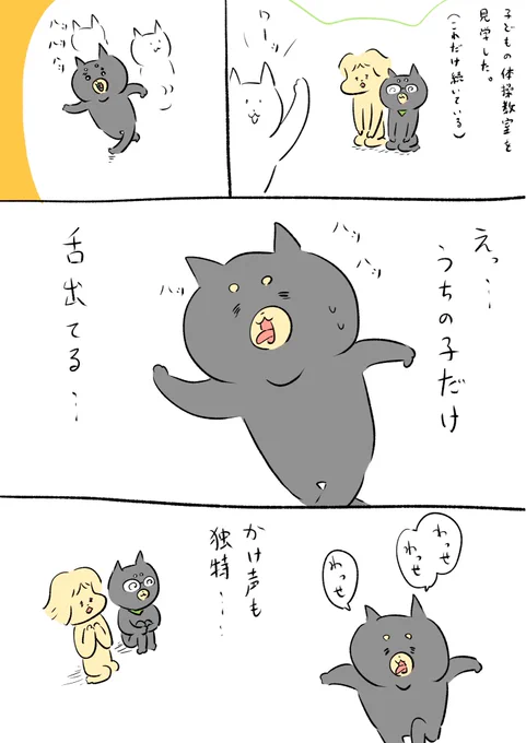 子どもの体操教室を見に行きました。 