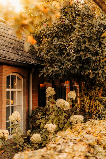 CycIaeFan tweet media