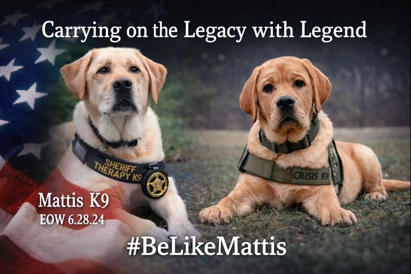 Darrah Metz tweet media