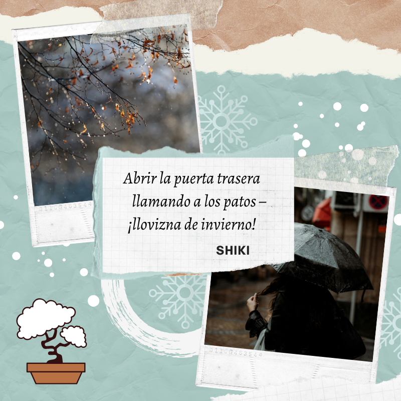 Haikukigo.com tweet media