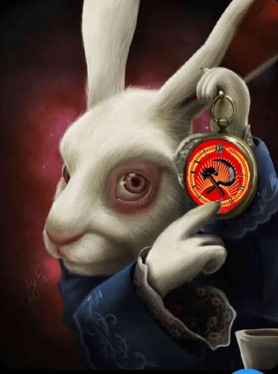 Greynxgga69's tweet image. 